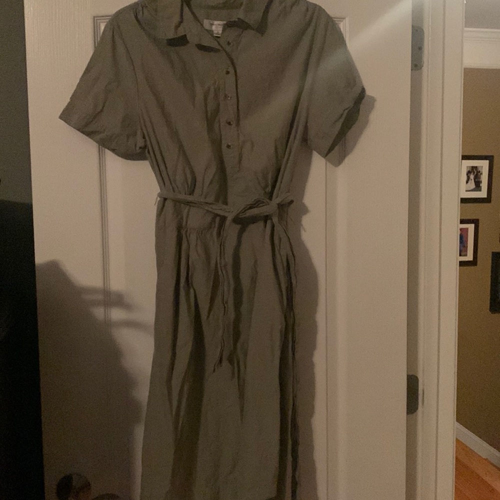 Isaac Mizrahi for target dress